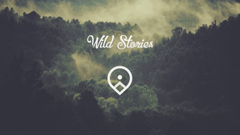 Wild Stories Logo